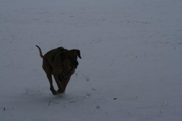 IMG_3204.jpg