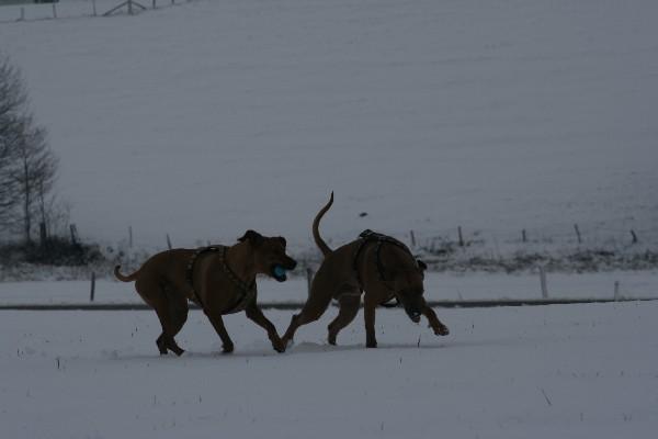 IMG_3209.jpg