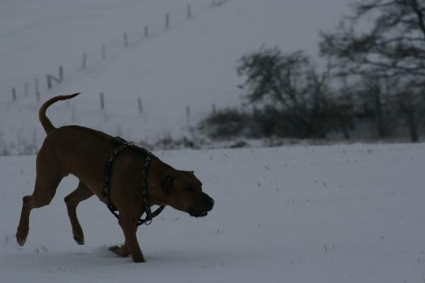IMG_3211.jpg