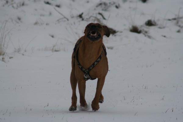 IMG_3223.jpg