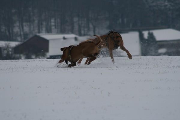 IMG_3240.jpg