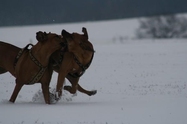IMG_3245.jpg
