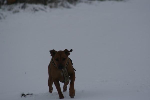 IMG_3249.jpg