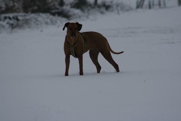 IMG_3251.jpg