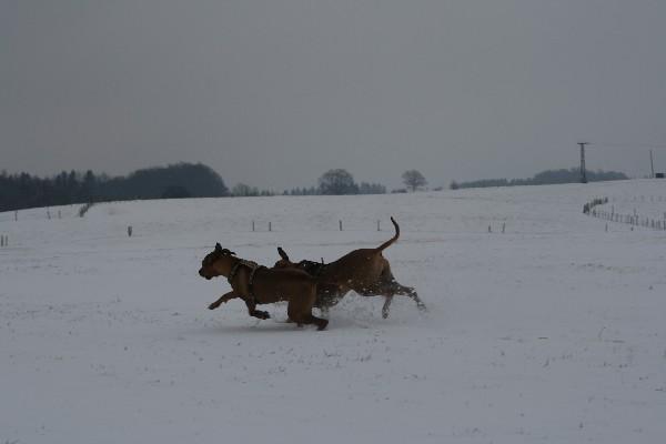 IMG_3258.jpg