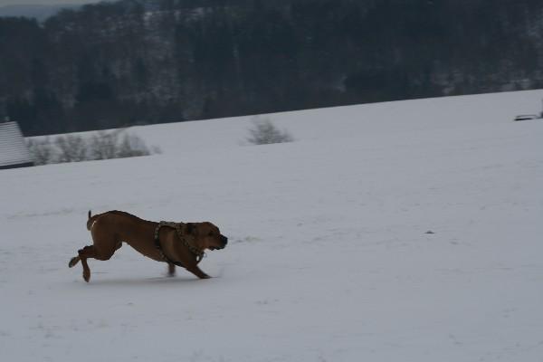 IMG_3264.jpg