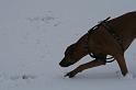 IMG_3212