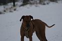 IMG_3248